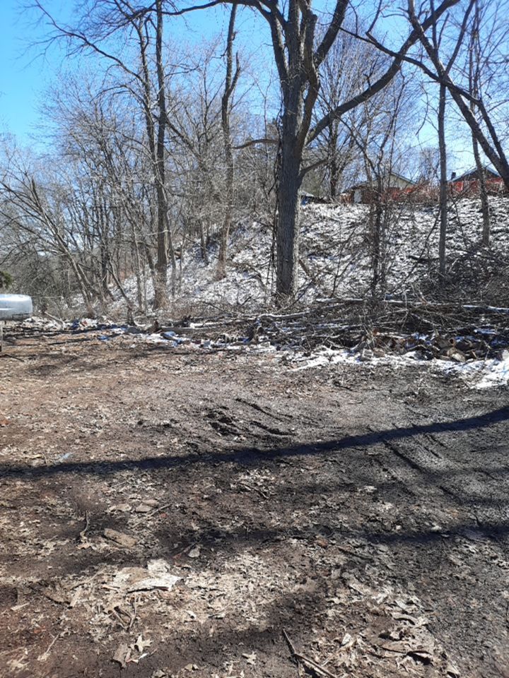 Tree Removal using Tree Removal by Mike Jones & Sons Tree Service LLC 