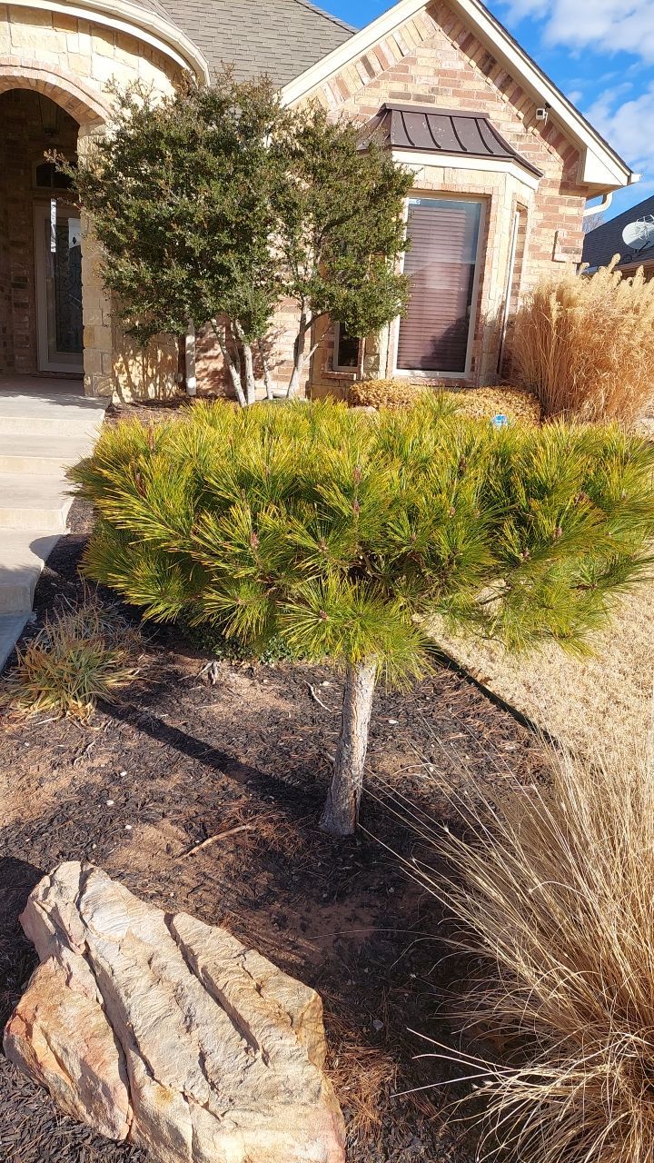 Concrete Slab , Retaining Wall , Fence, and landscape. by Clays Services Inc