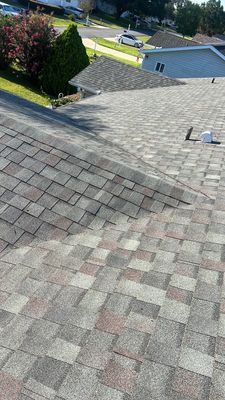 Shingle Reroof Replacement Ocala FL