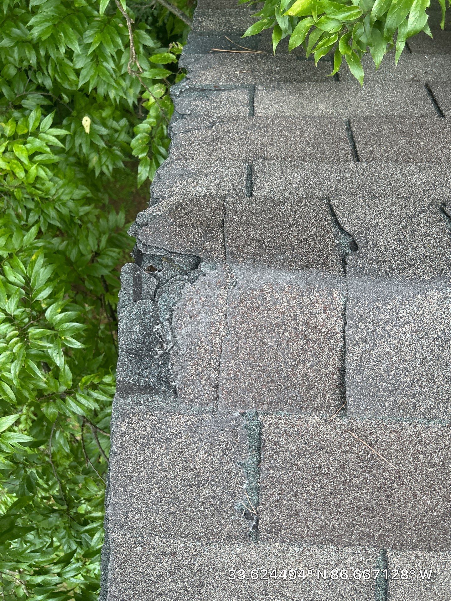 Shingle Replacement in Birmingham by The Roofing Dudes