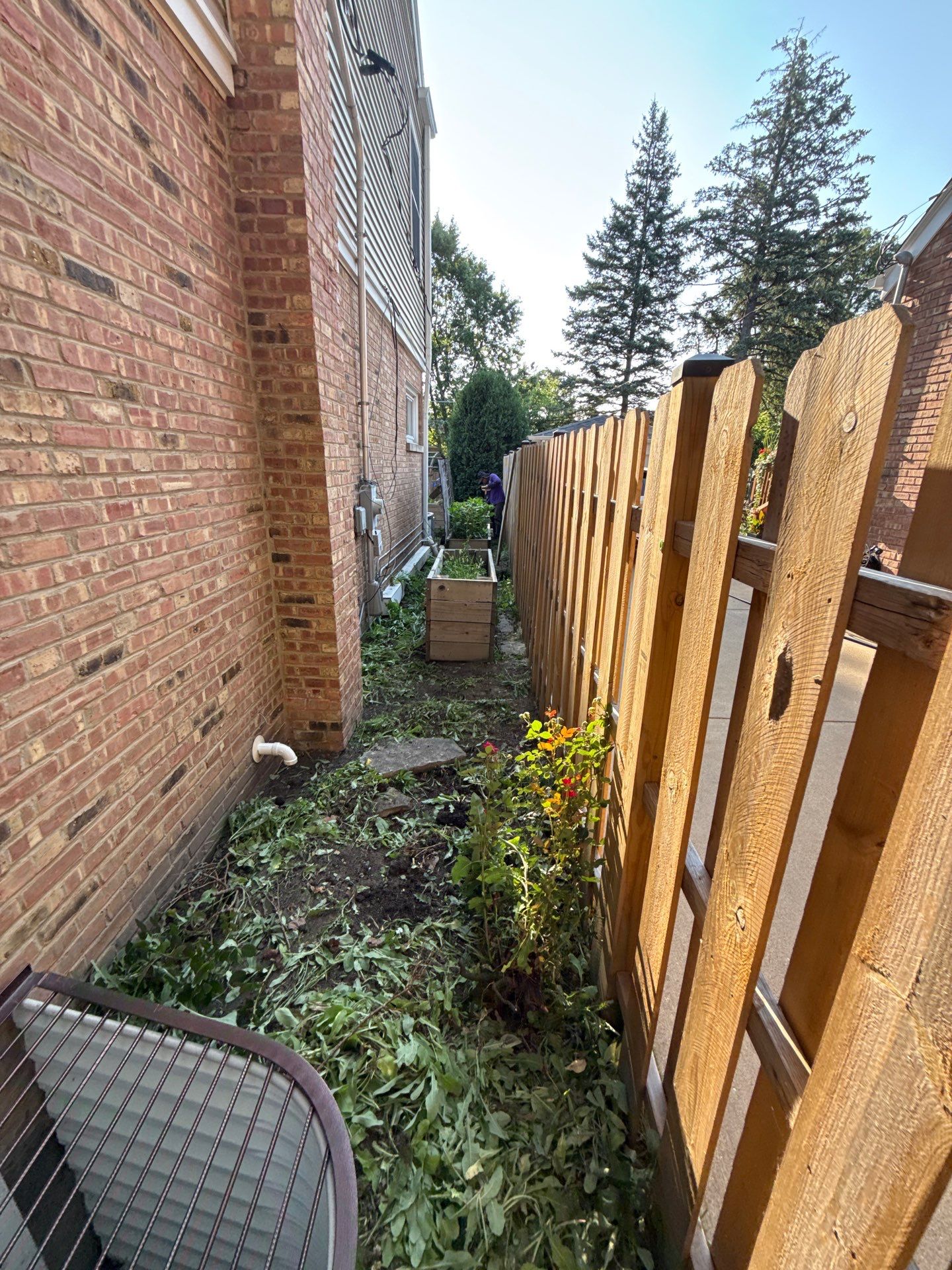 Michele P. - Mount Prospect, IL by A&N 