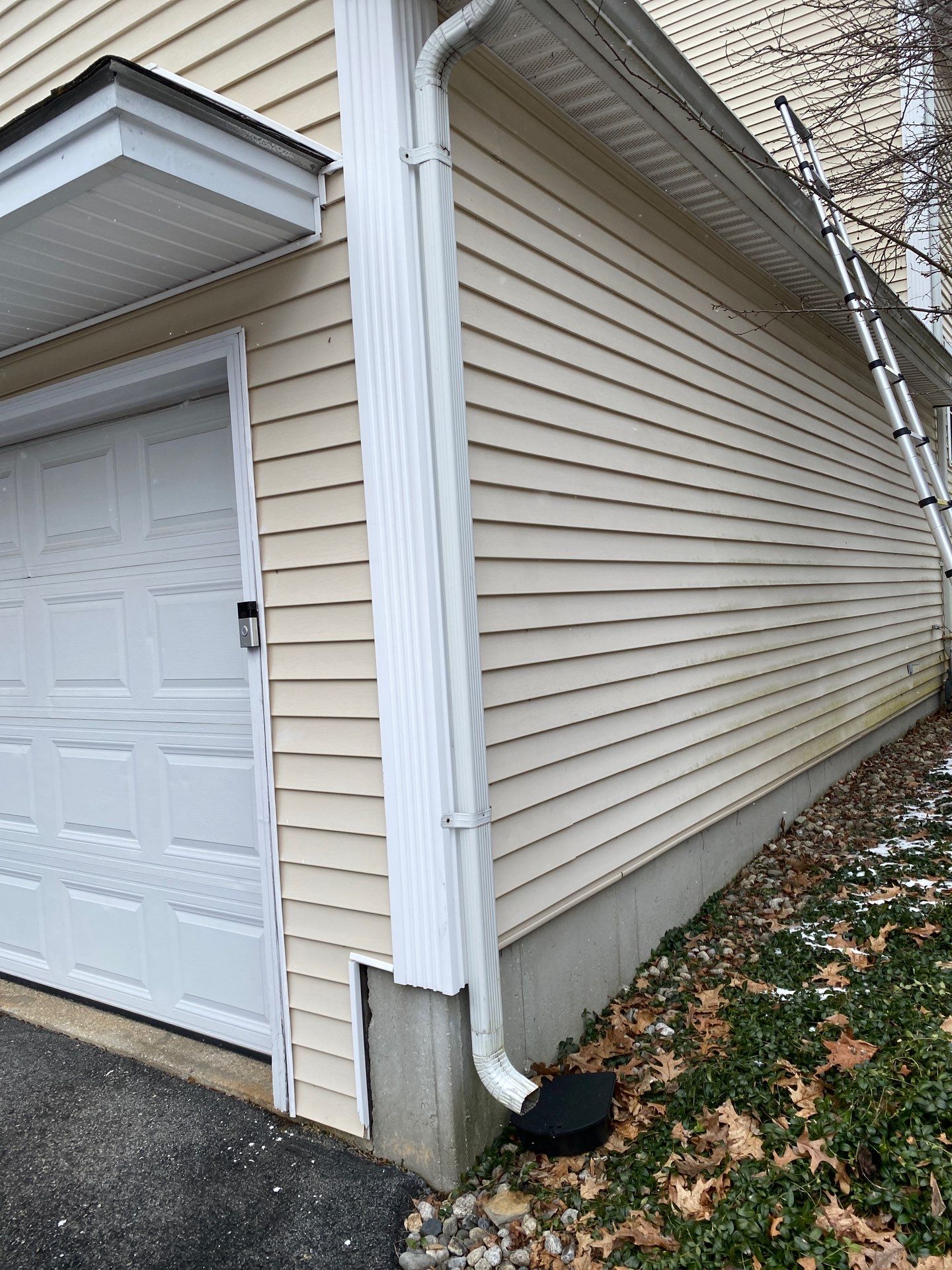 Realtor consult by Mighty Dog Roofing of Greater Middlesex County
