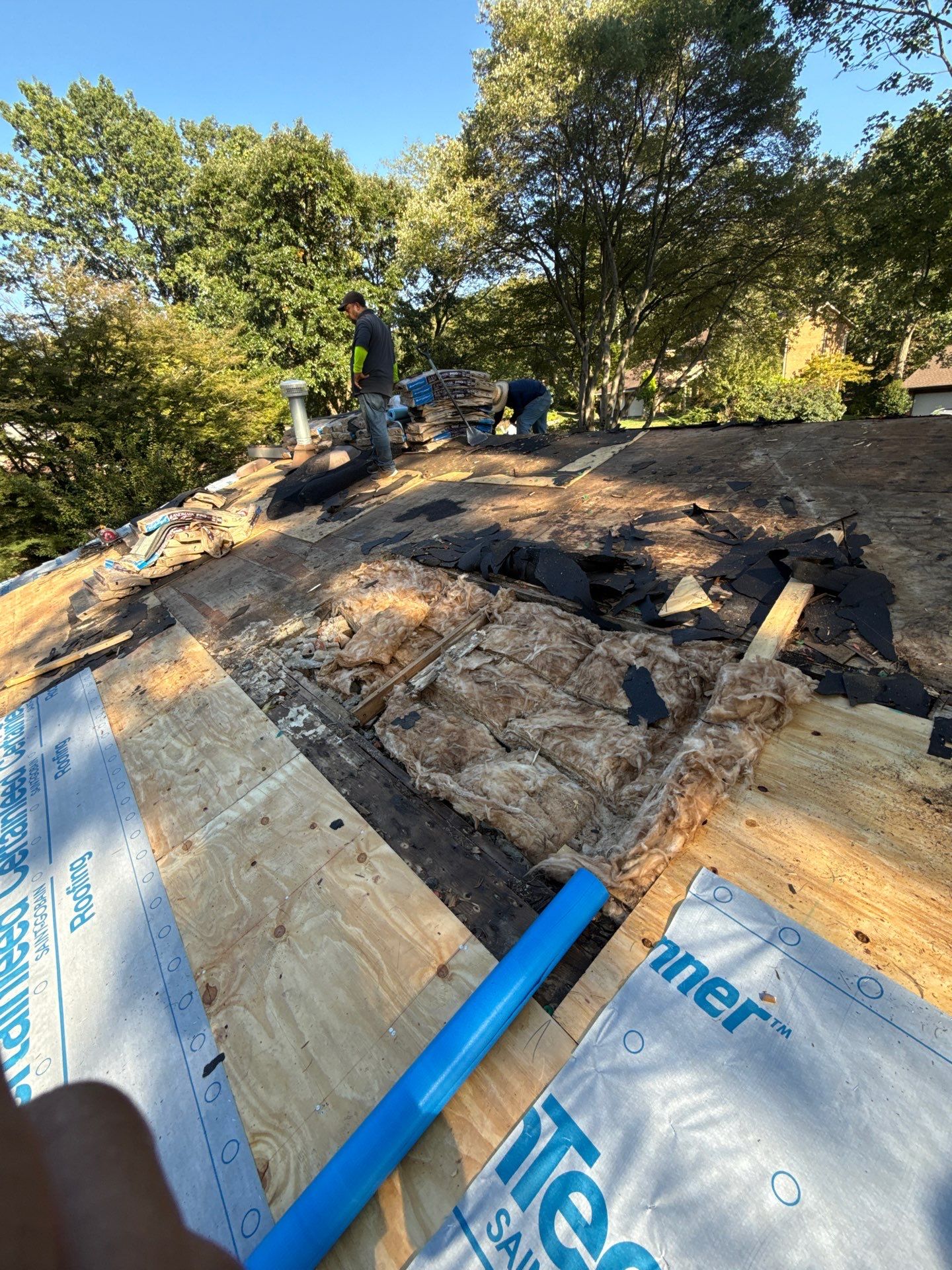 Vienna : Residential Roof Replacement with CertainTeed Landmark Pro in Max Def Georgetown Gray  by RM Banning, Inc.