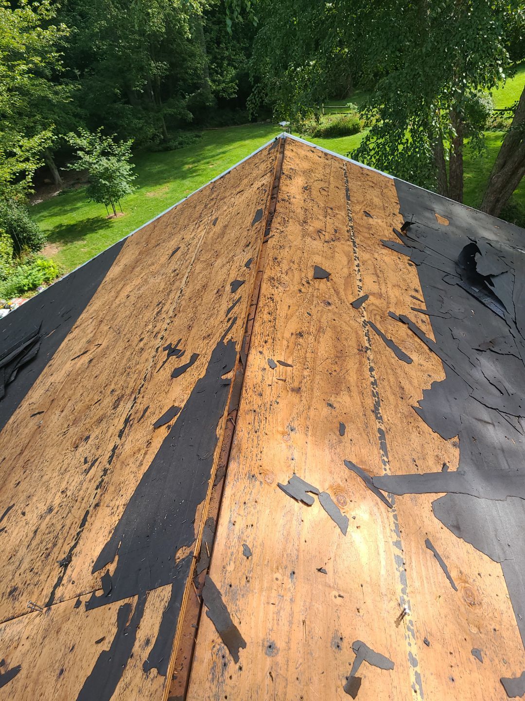 Falls Church: Roof Replacement with CertainTeed Landmark Pro in Max Def Pewterwood by RM Banning, Inc.
