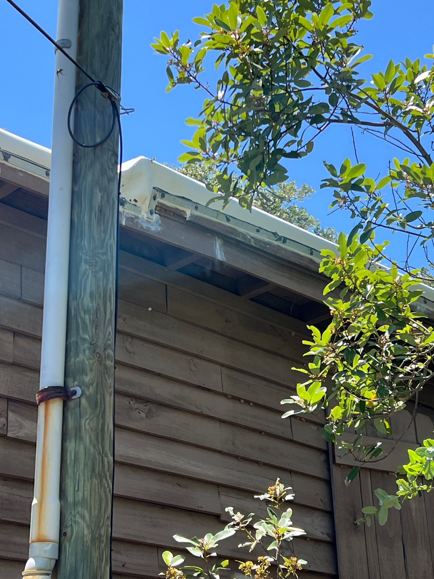 Cartoon Roof turned TPO Elegant by Bayfront Roofing and Construction
