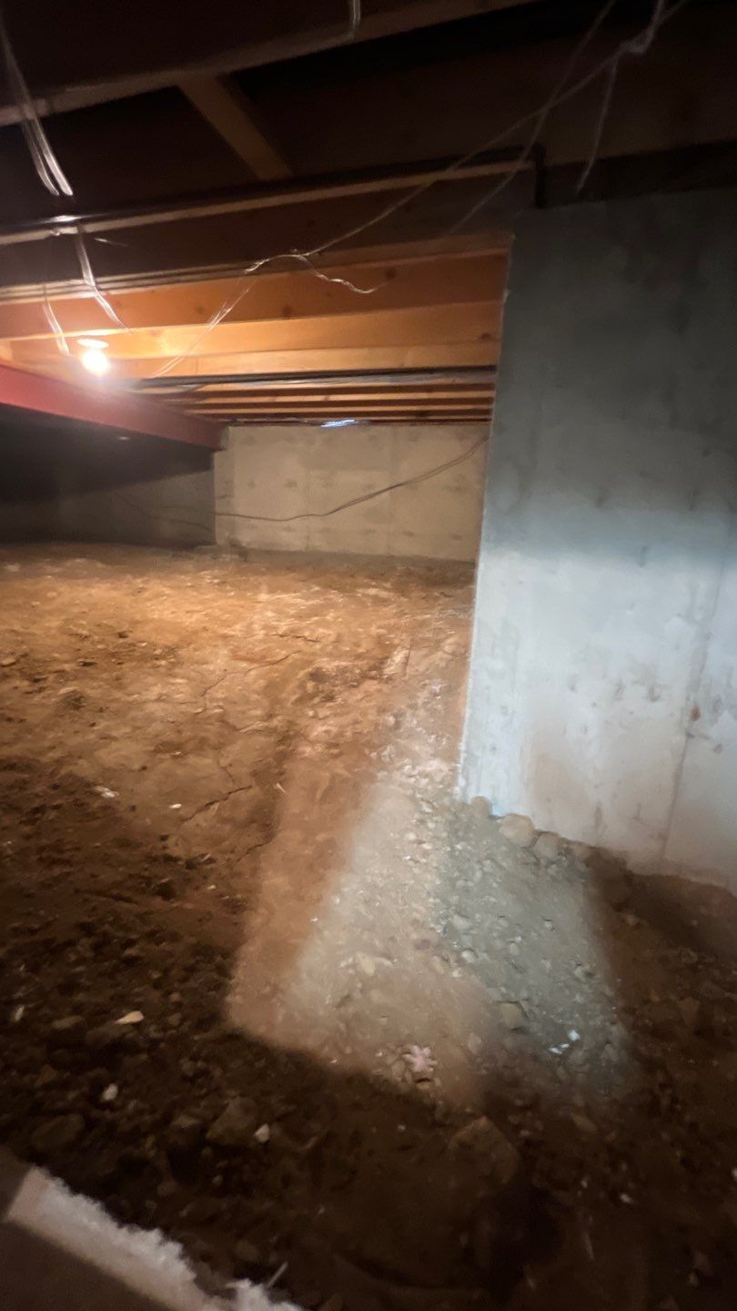 Mold Damage by Accountable Home Services