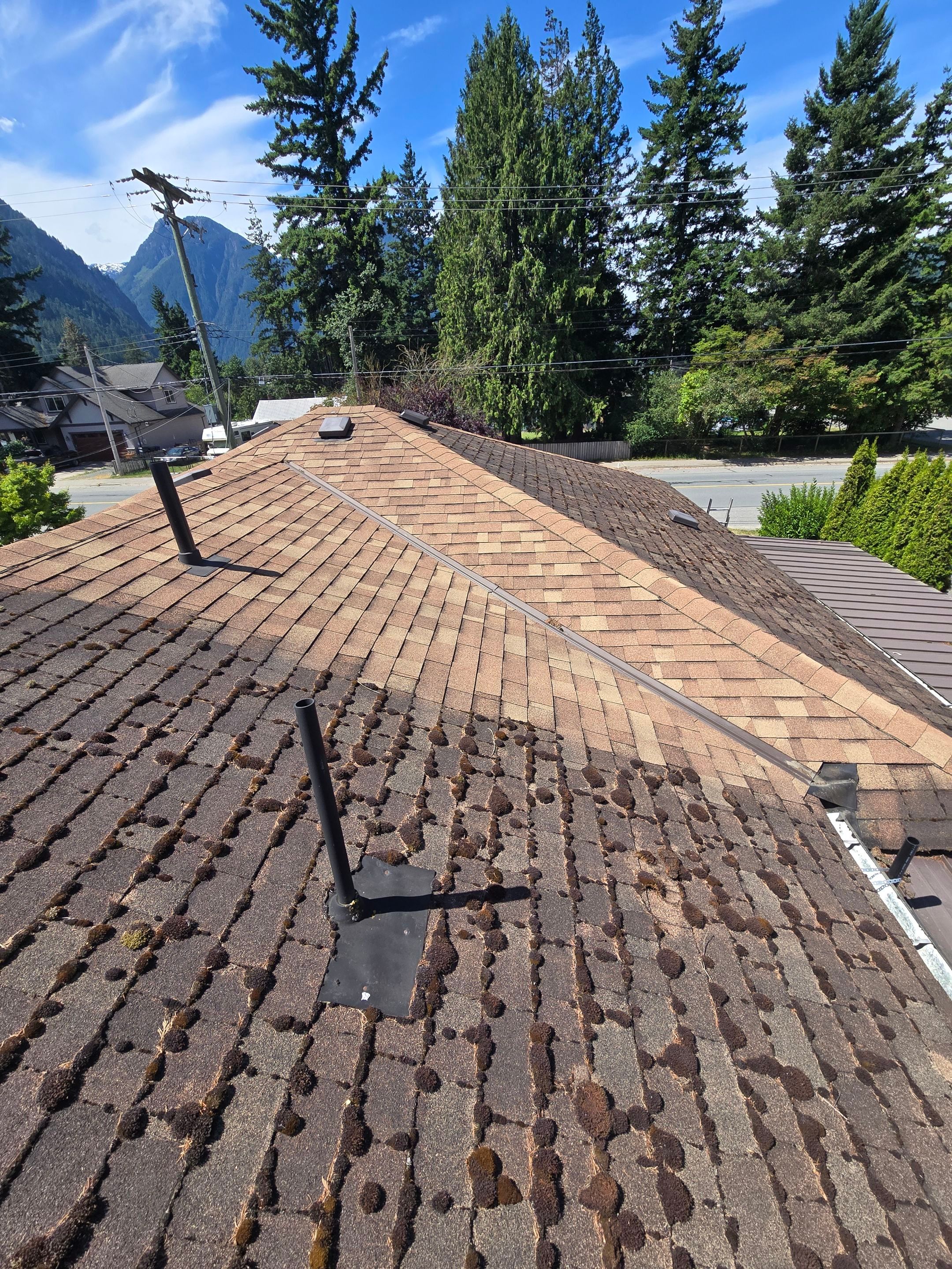 Residential Reroof Shingle - Barkwood by Top Notch Roofing Inc