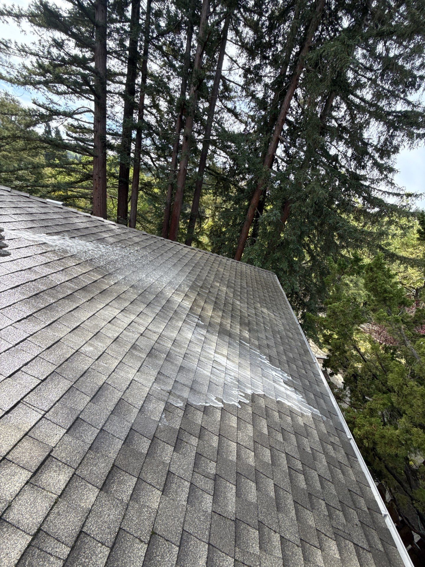 Soft Wash by Top Elevation
