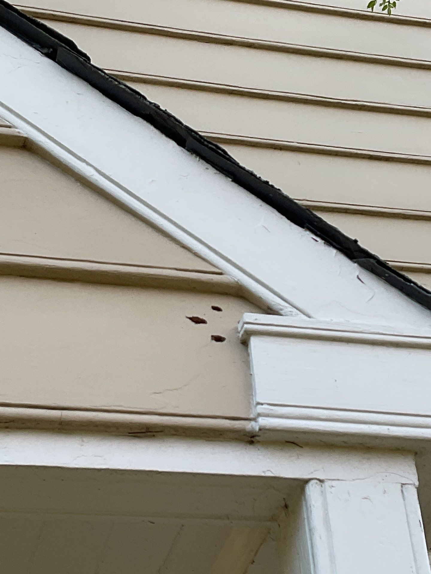 Exterior House Painting Project in Newtown, PA by Groovy Hues