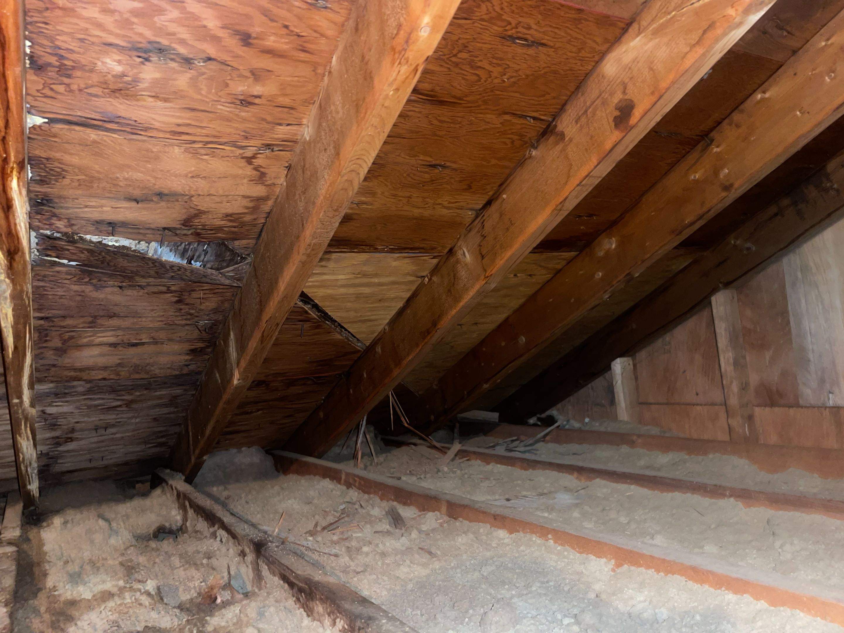 Residential Roofing Installation using Owens Corning TruDefinition Amber by A Plus Exterior