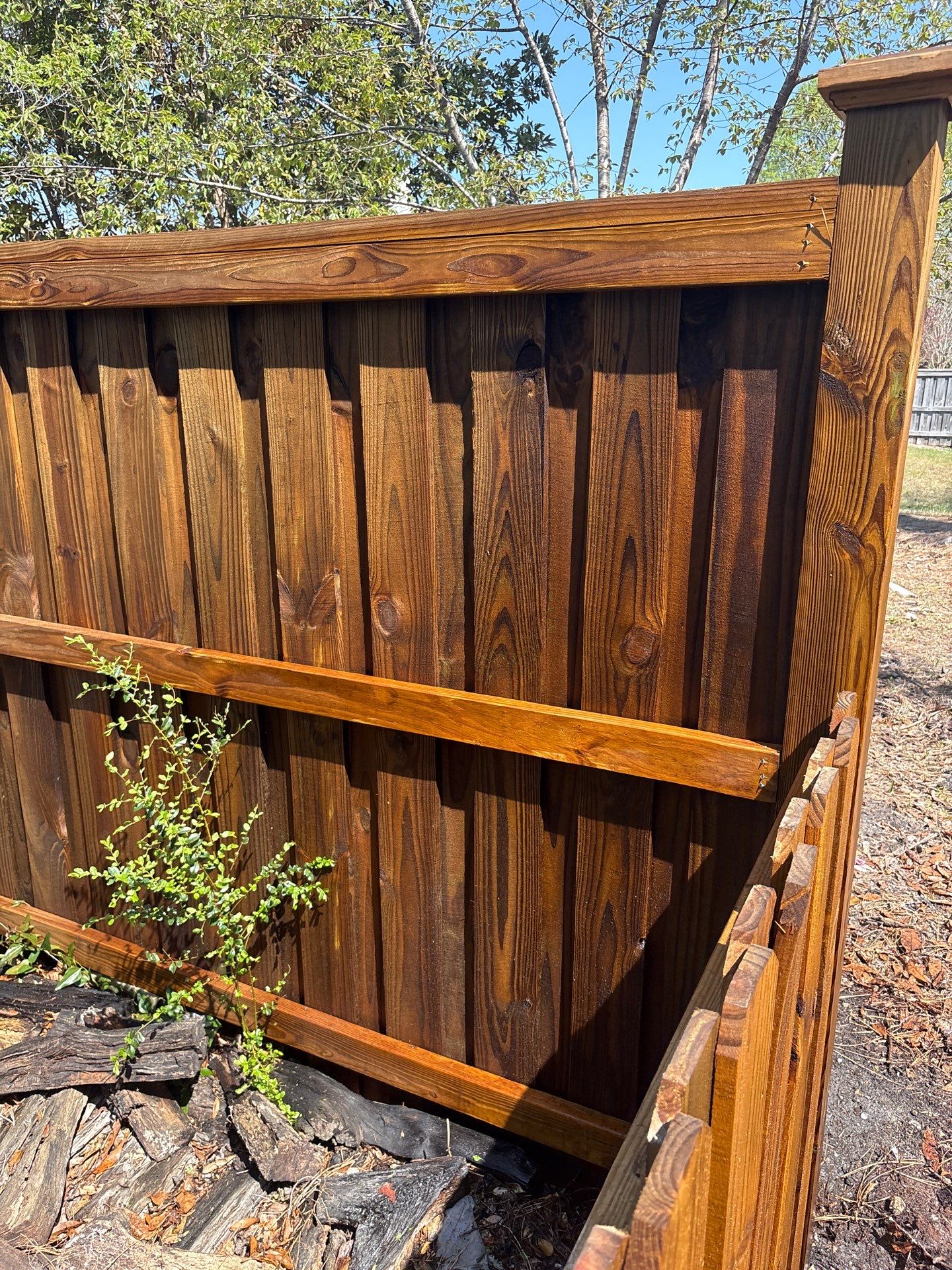 Fence using Wood Sealant by DuraSeal