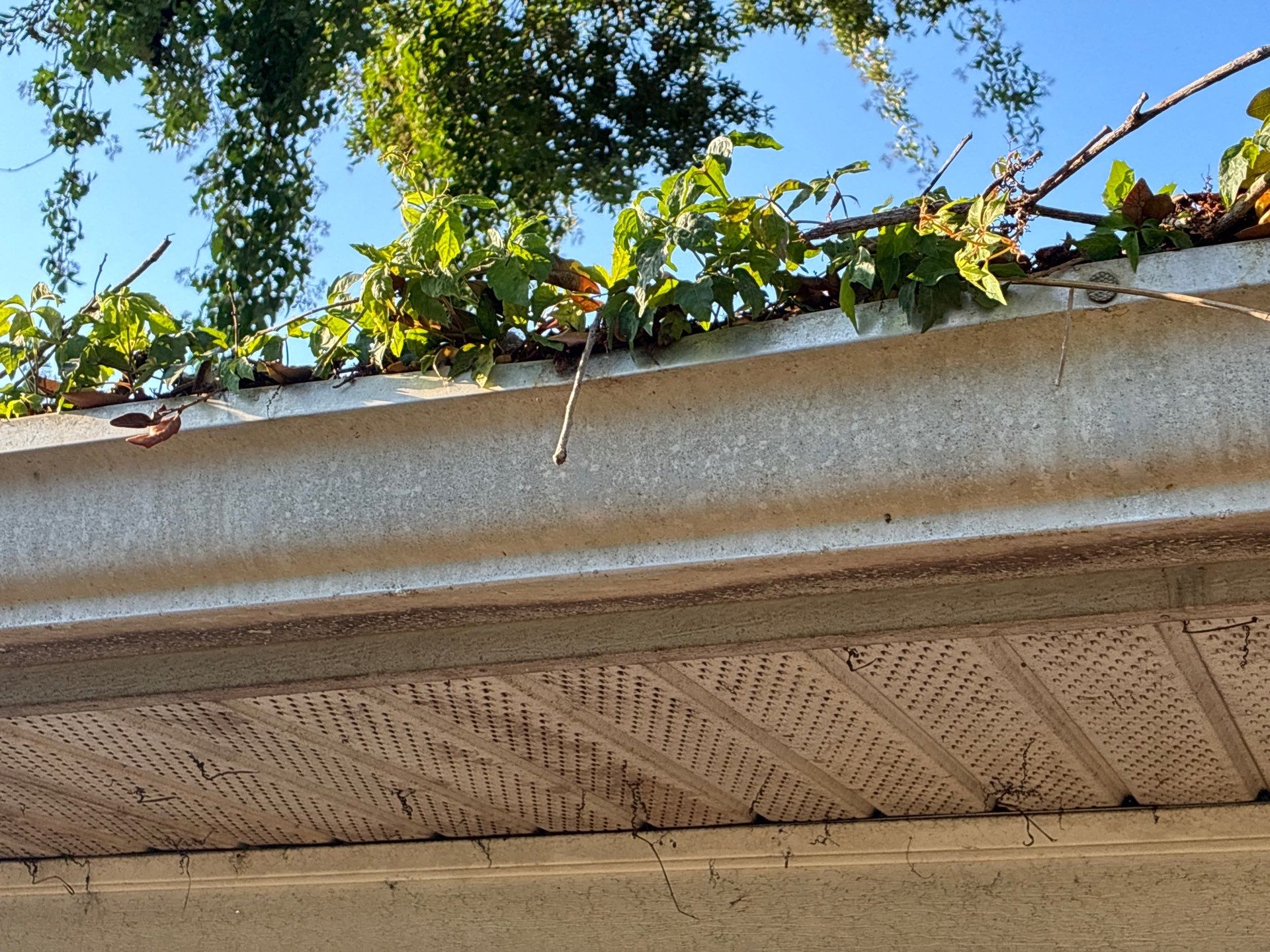 Project in St. Petersburg 33712 by Mitchell Roofing Company LLC