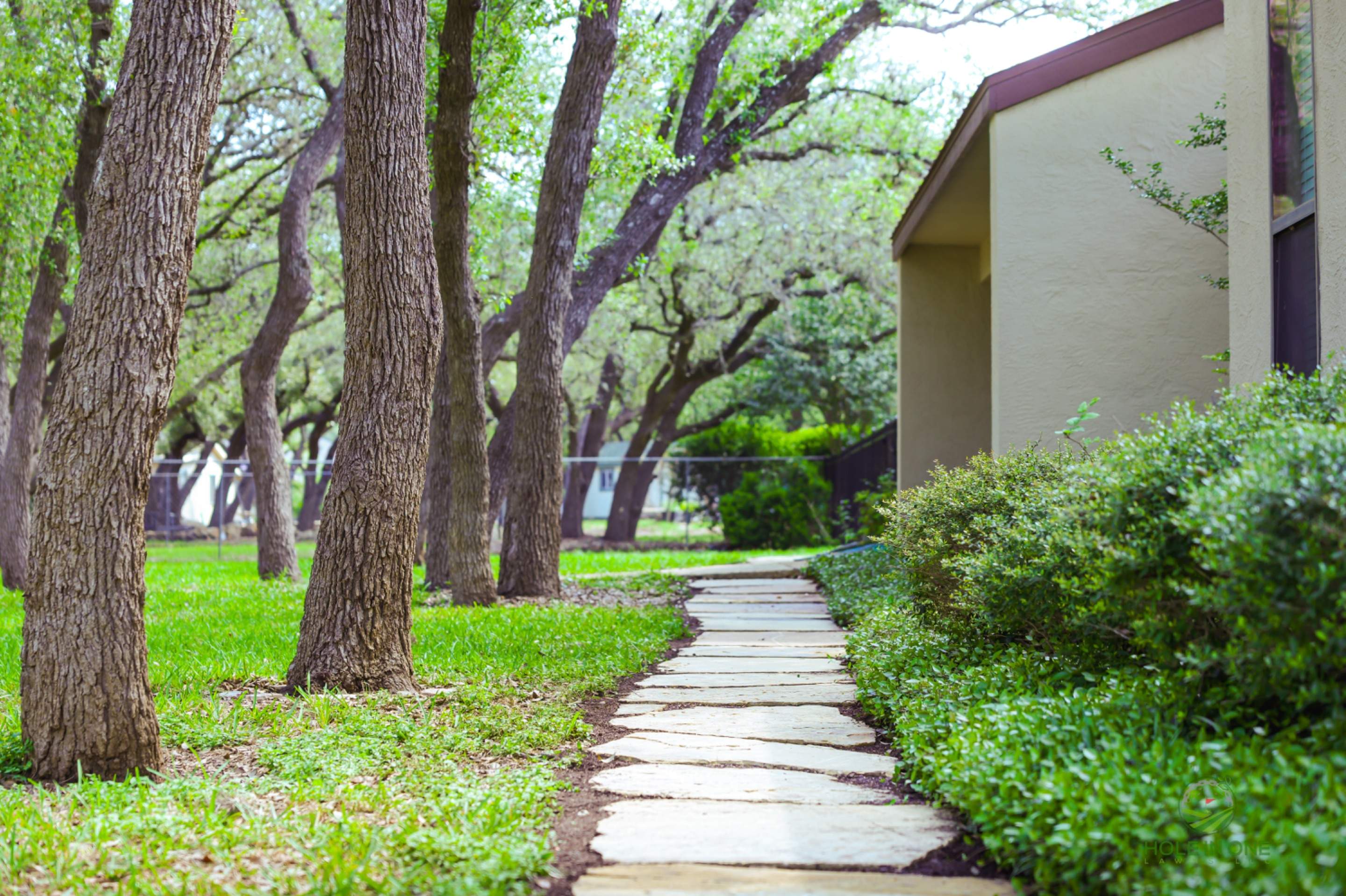 Scattered Oaks, San Antonio TX by Hole In One Lawns, LLC