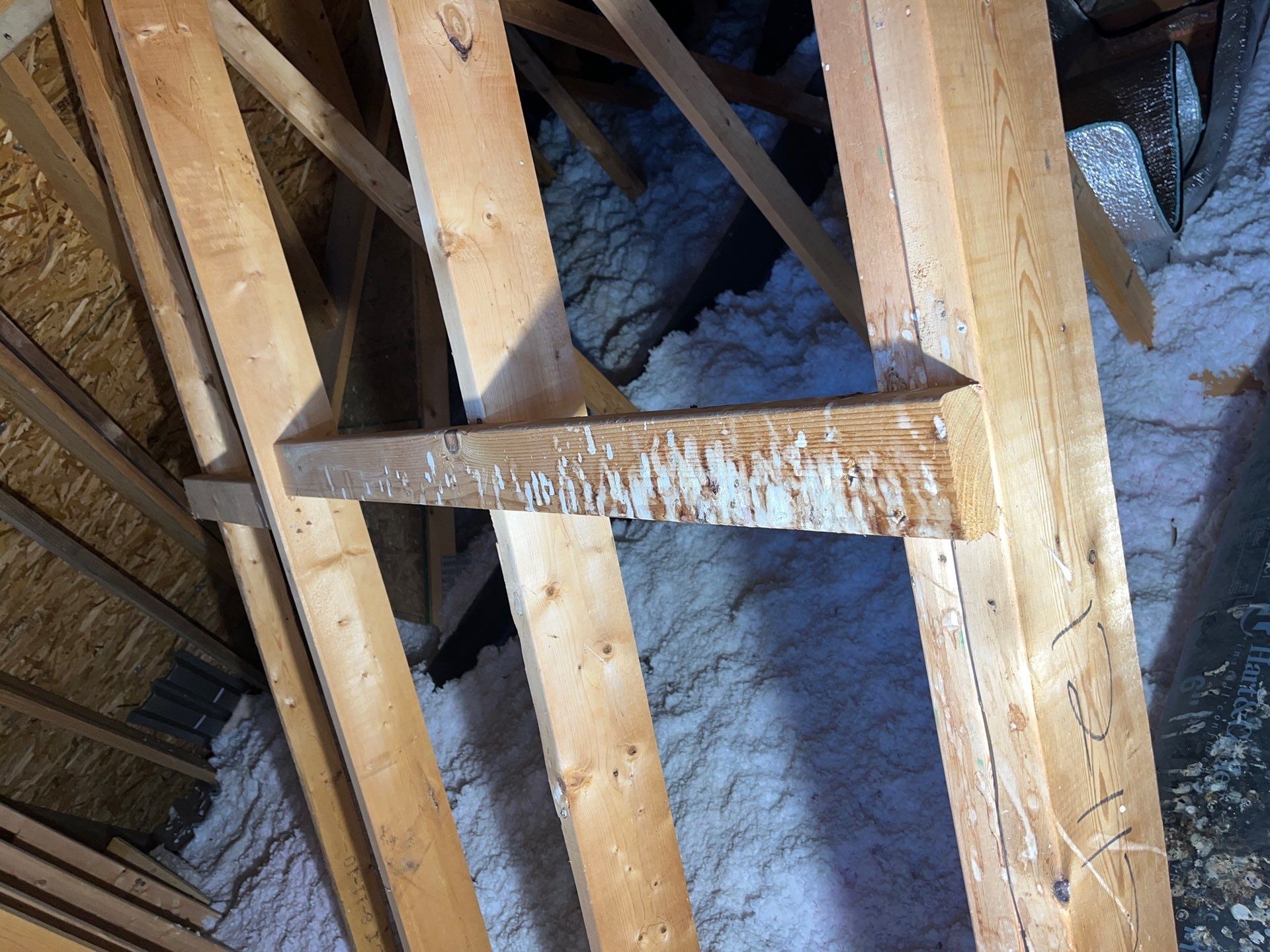 Sanitizing and Transforming a 2,100 sq ft Attic for a Better Home Performance by Home Environment Solutions