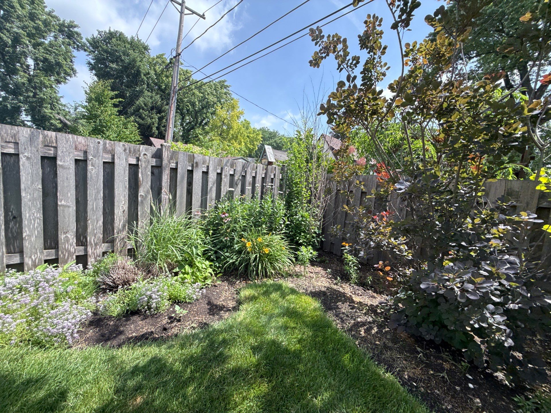 Cheris B. - Mount Prospect, IL by A&N 