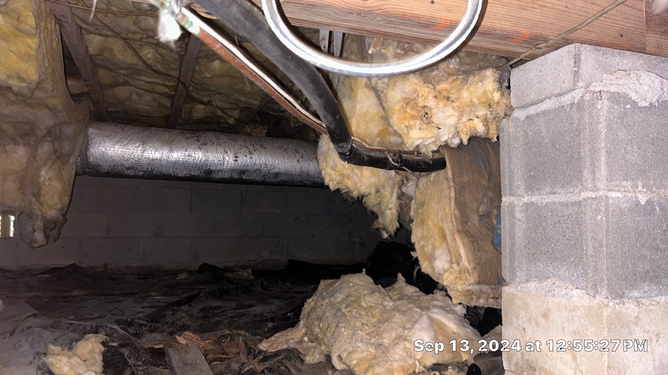 Limited Mold Remediation by EAS Environmental, LLC.