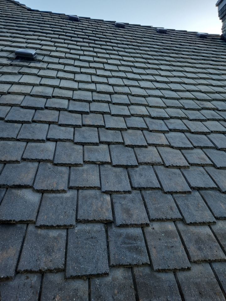 Moss Removal/ Treatment using Biocide by Willamette Outdoor Wash LLC