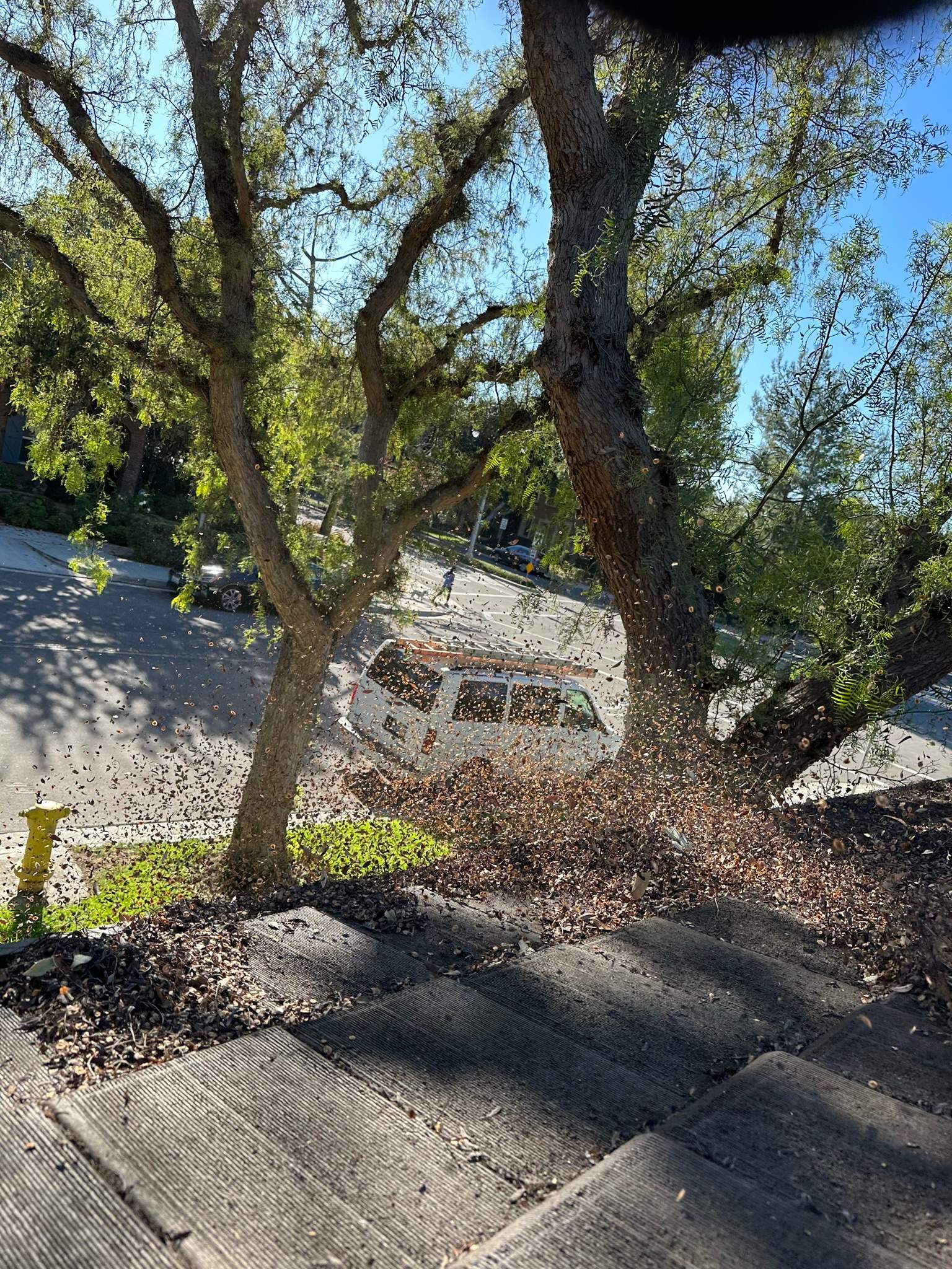 Orange County Gutter Cleaning by Property Cleaning Experts