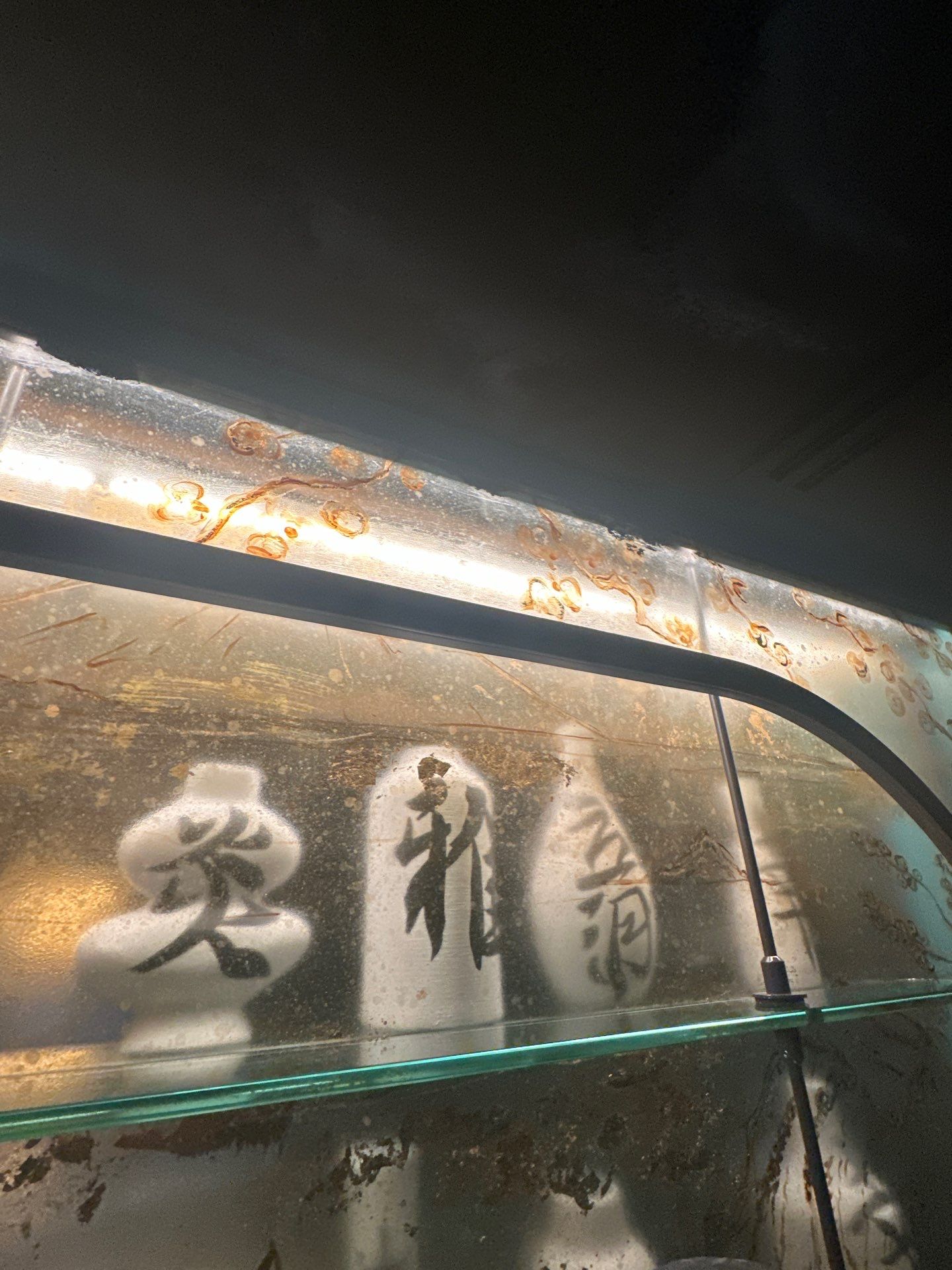 Restaurant in Miami Beach by Toledo Iron Works