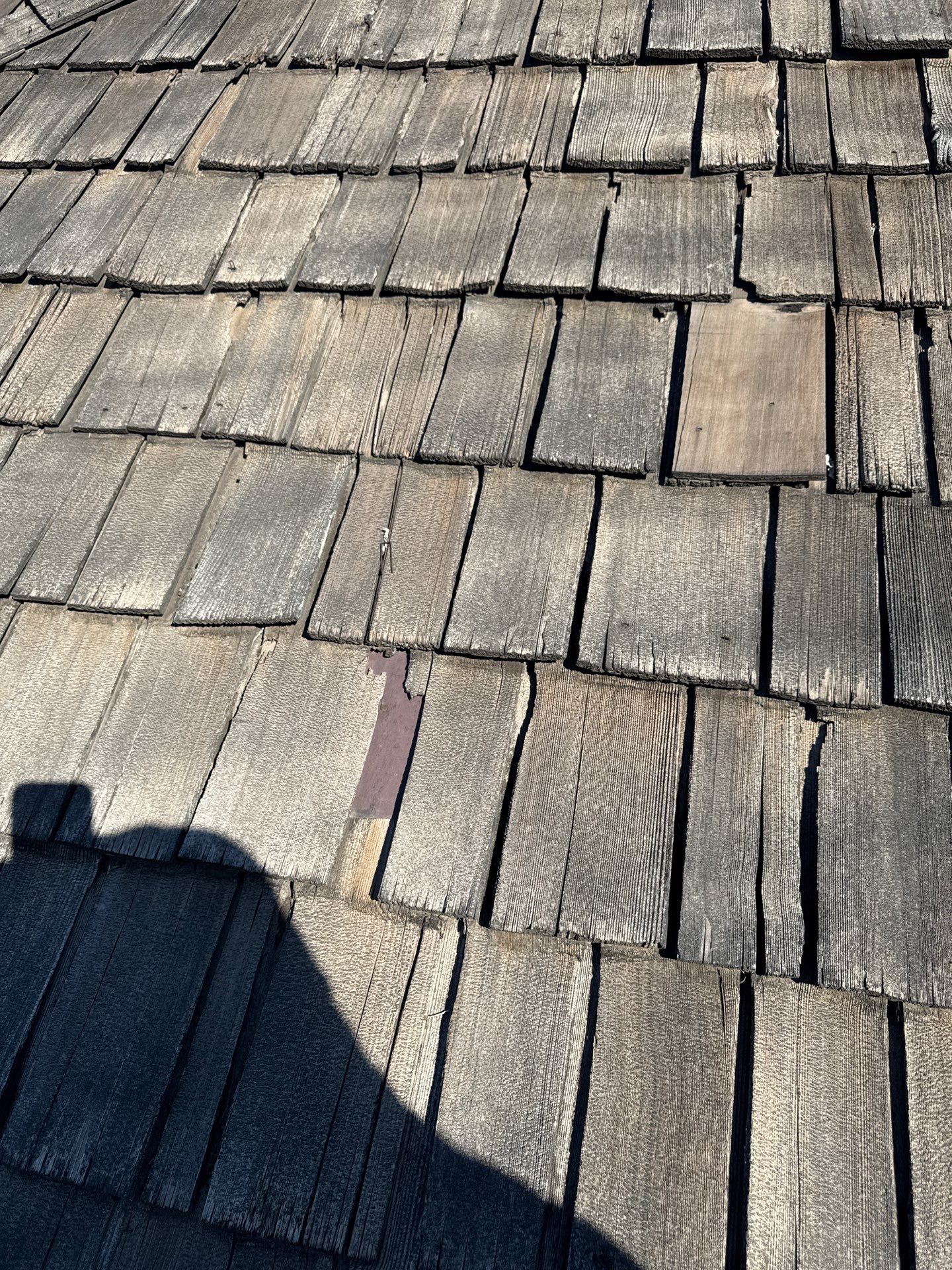 Cedar Shake to IKO Dynasty Shingle Roof Replacement in Boise by Olive Roofing