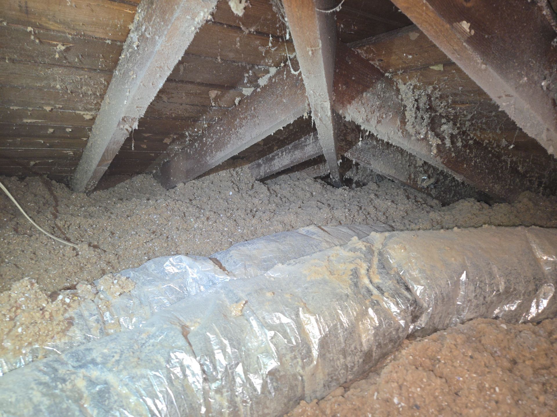 Project in Norfolk by Patriot Crawl Space Repairs