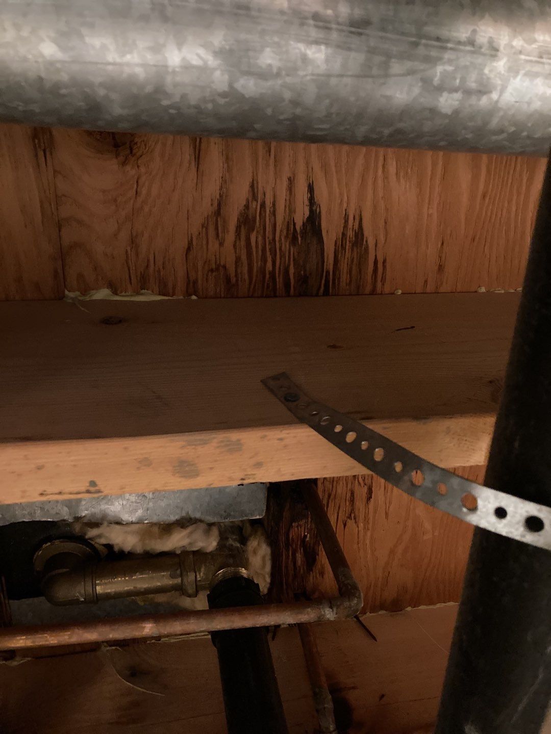 Mold Remediation using Containment by Accountable Home Services