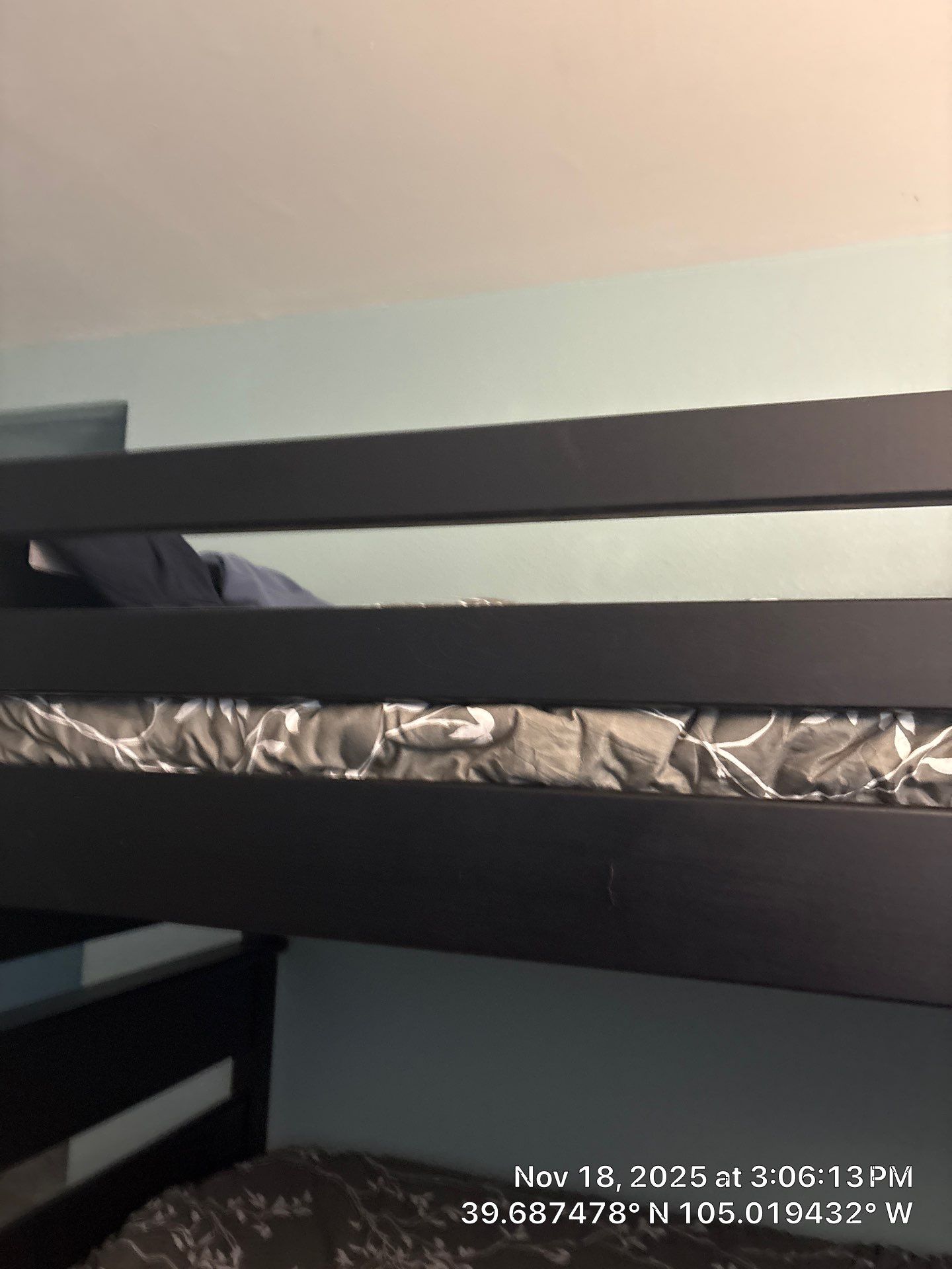 Jones Tree Removal by CompanyCam Sales Demo