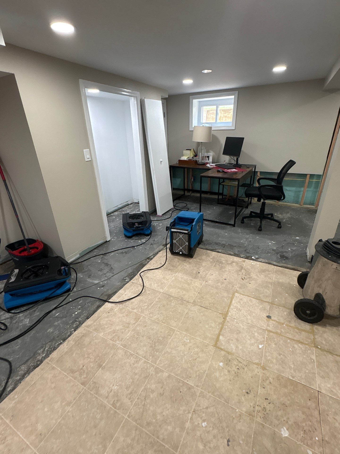 Basement Moisture Remediation in Mineola by EMS Restoration Corp