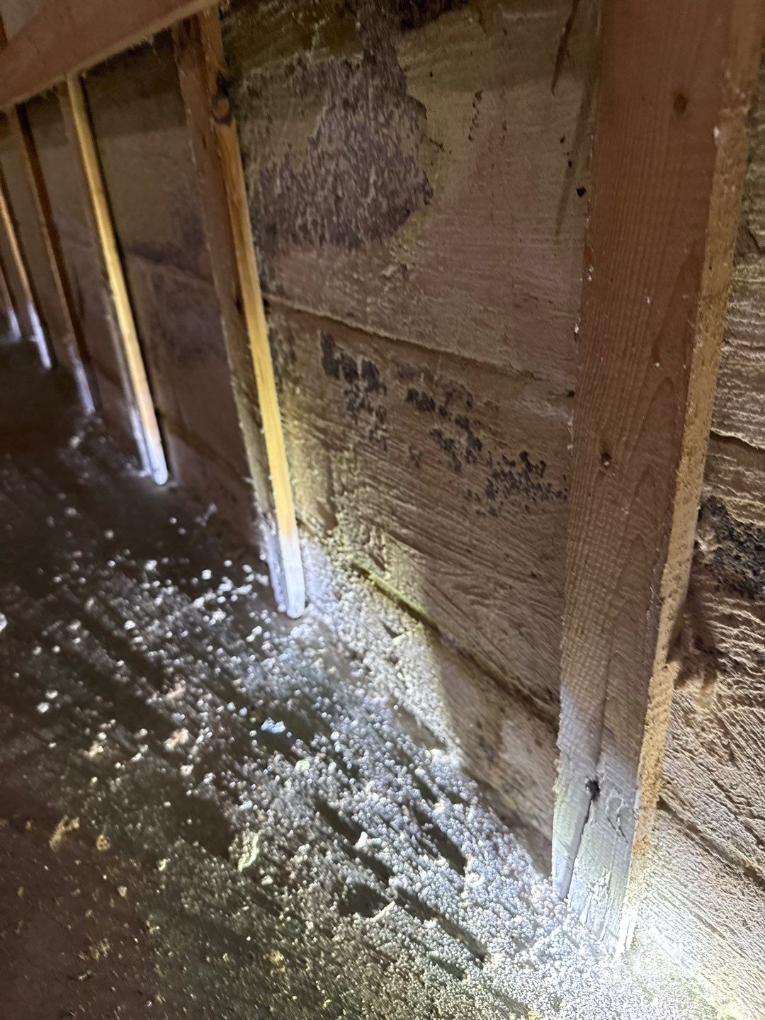 Post‑Remediation Clearance Test & Corrective Mold Remediation, Dover, DE. by Healthy Home Solutions