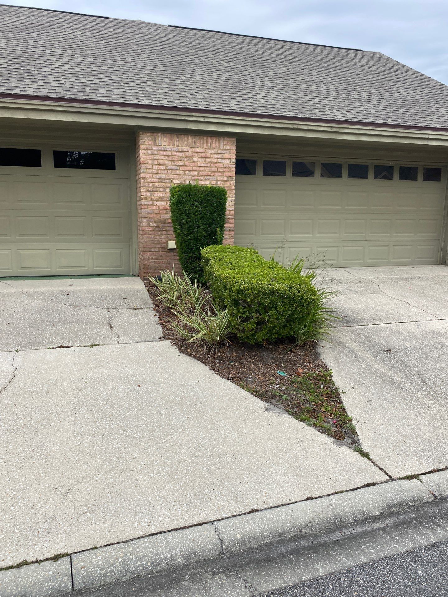 Deerwood Pointe | Tree Removal & Pine Straw Installation by ProGreen Services