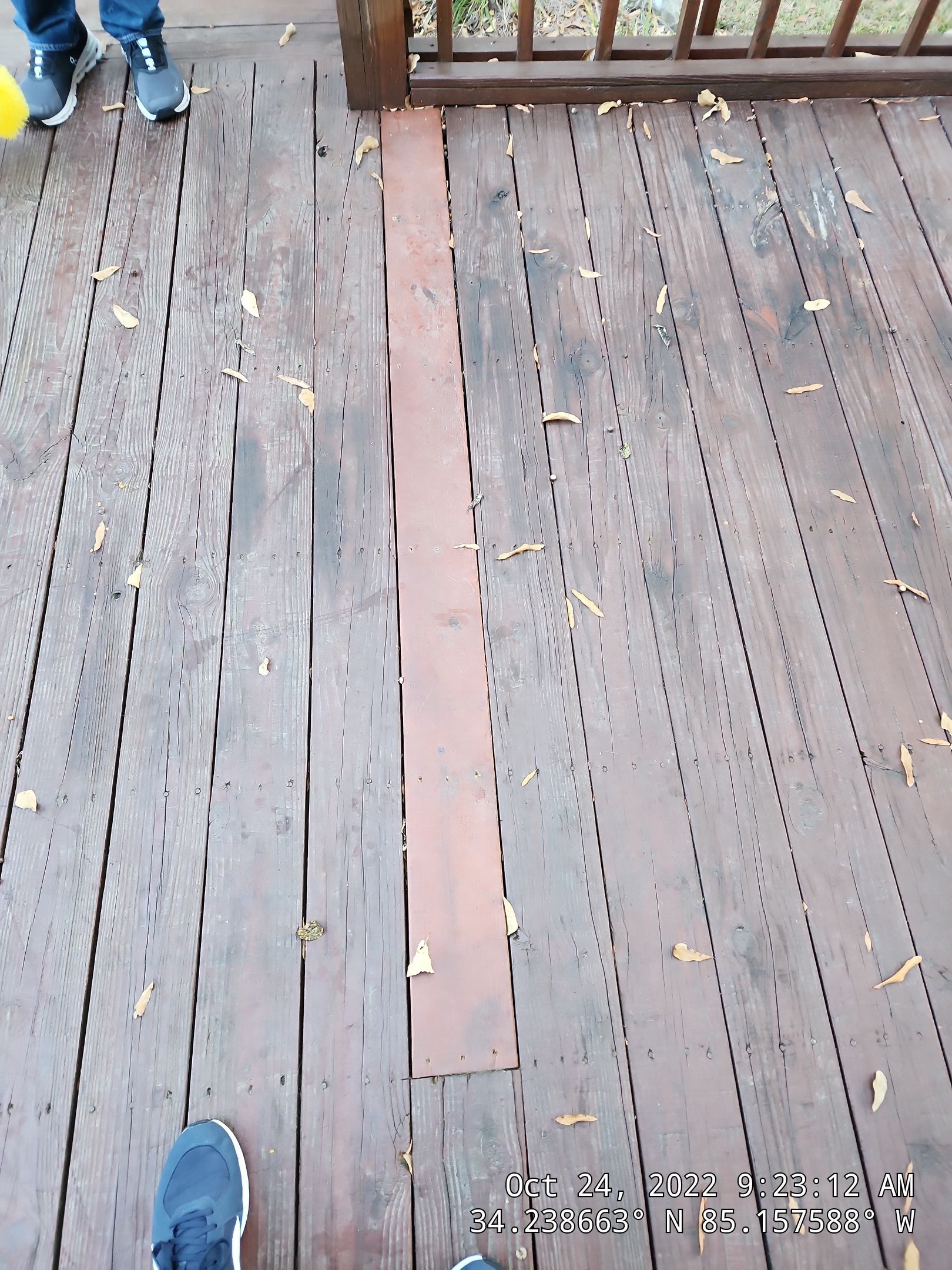 6' Wood Privacy with Dog Eared Pickets by Titans of Timber Fence & Stain
