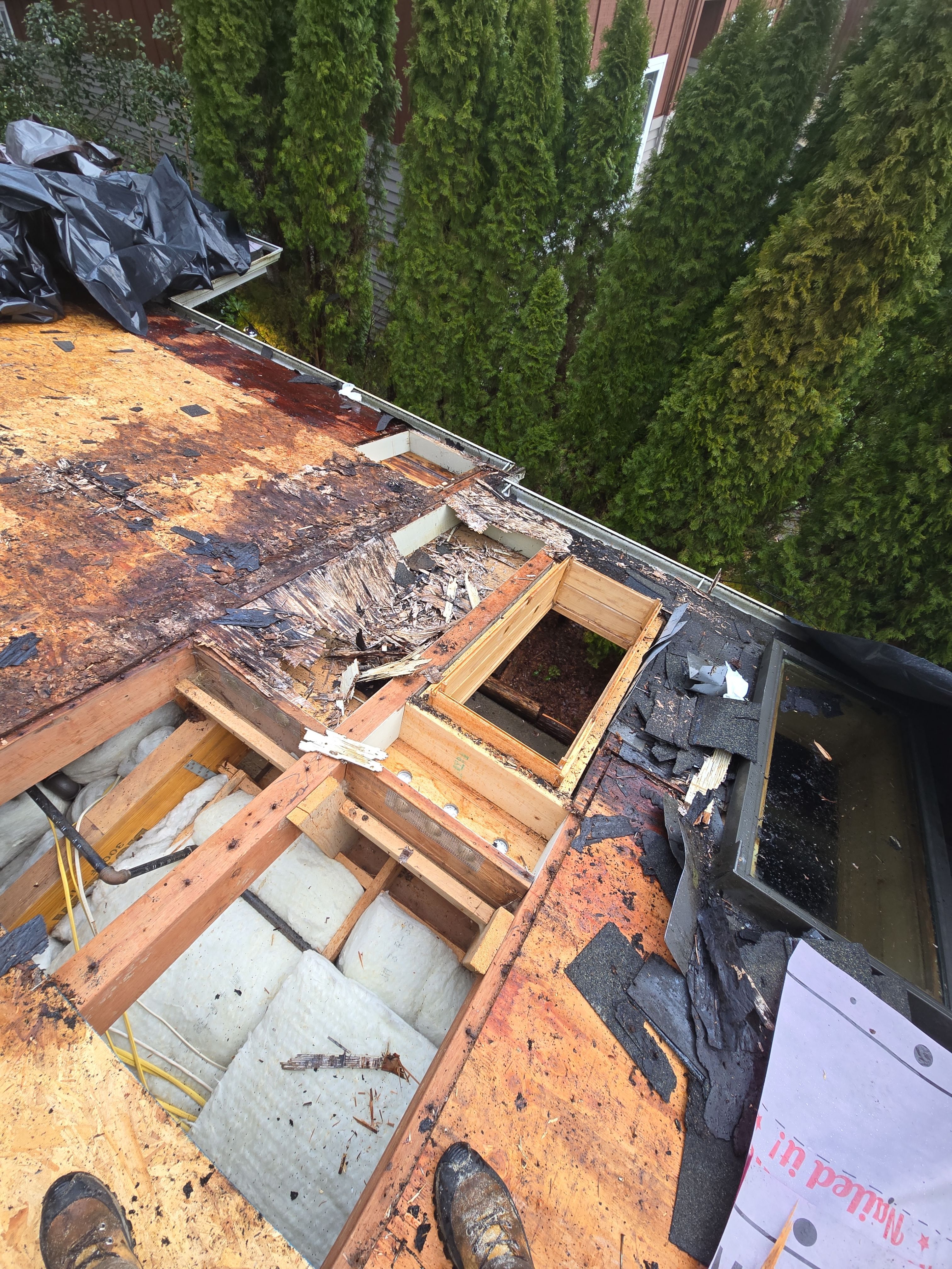 EuroShield in Sammamish by RoofSmart
