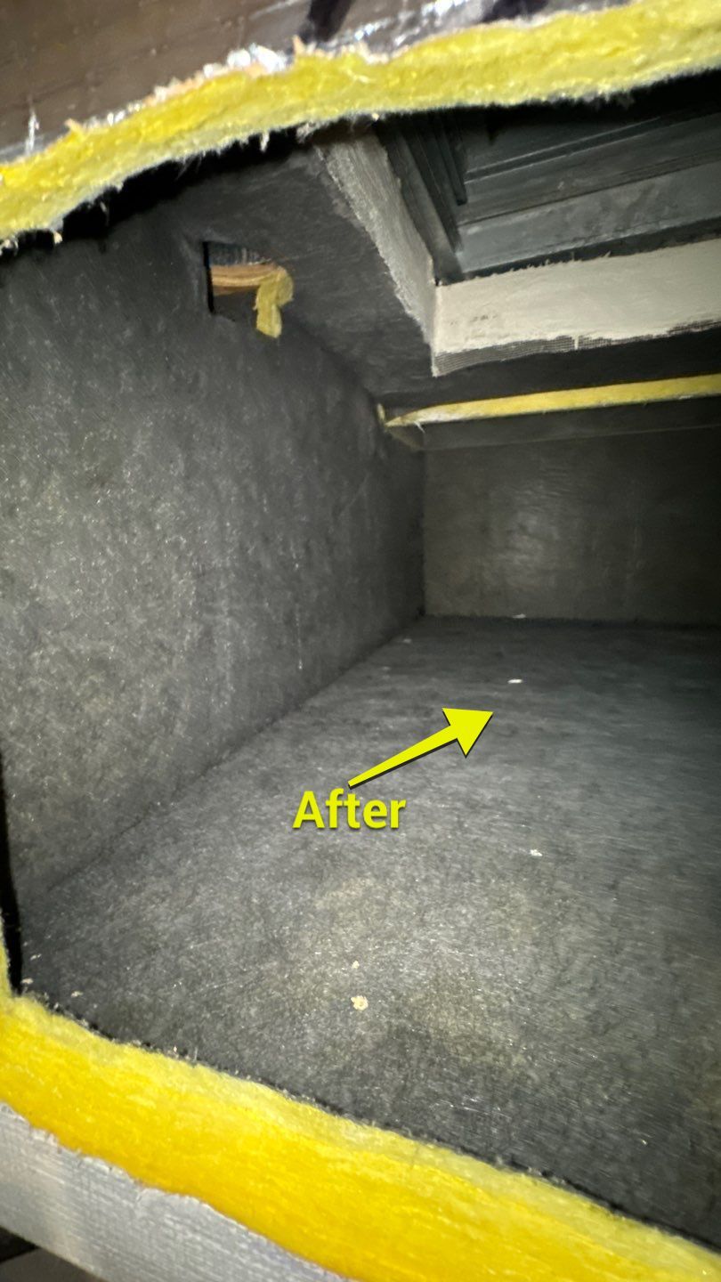 Air Duct Cleaning in Clermont by Hygienic Air, Inc