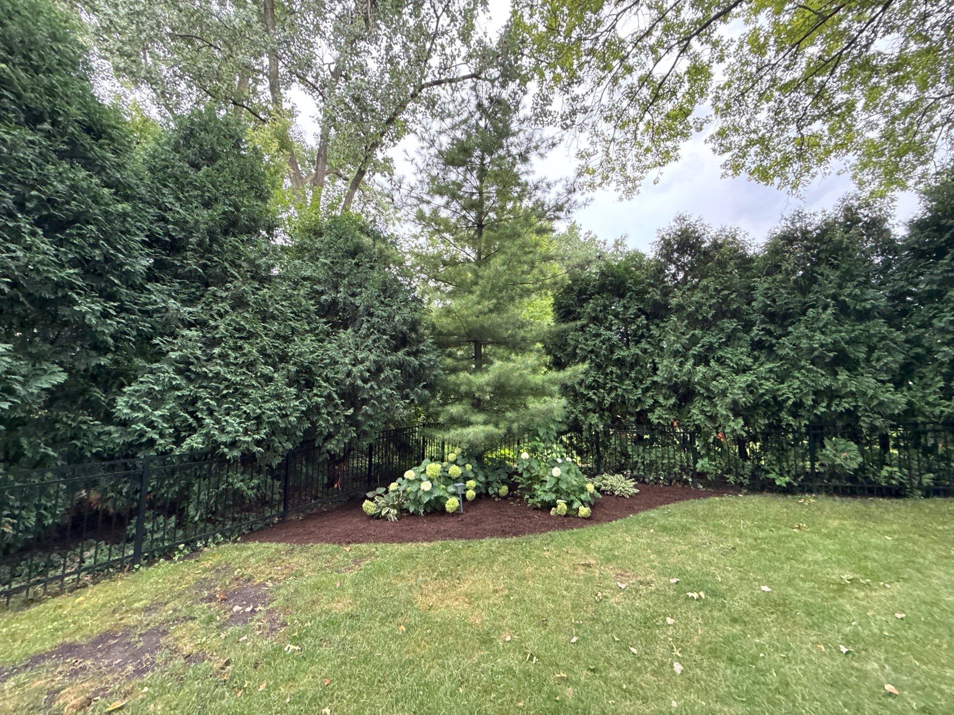 Christopher B. - Glenview, IL by A&N