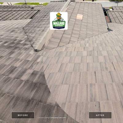Tile Roof Cleaning