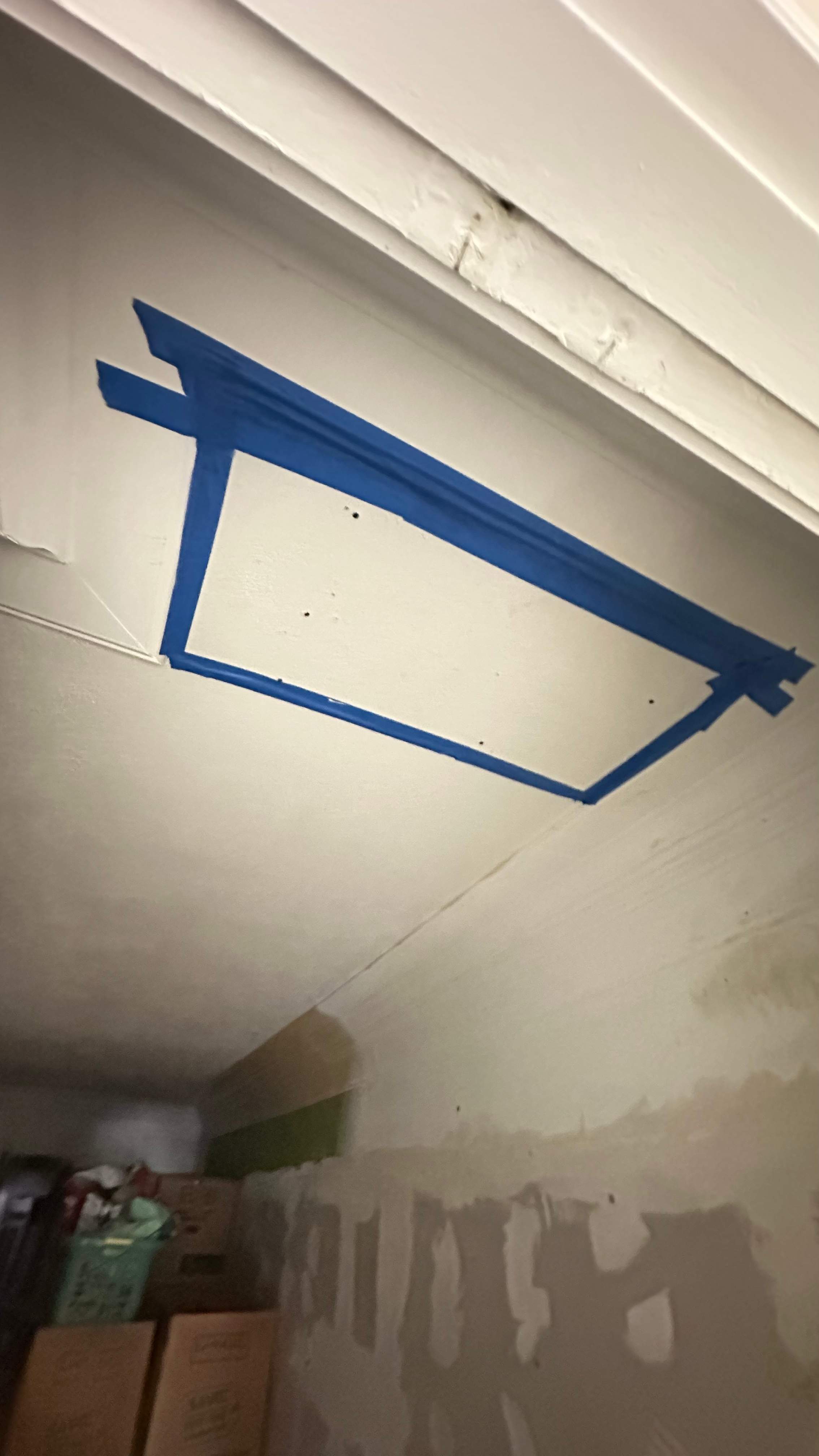 Interior Ceiling by Rockwall Honey Bee Company