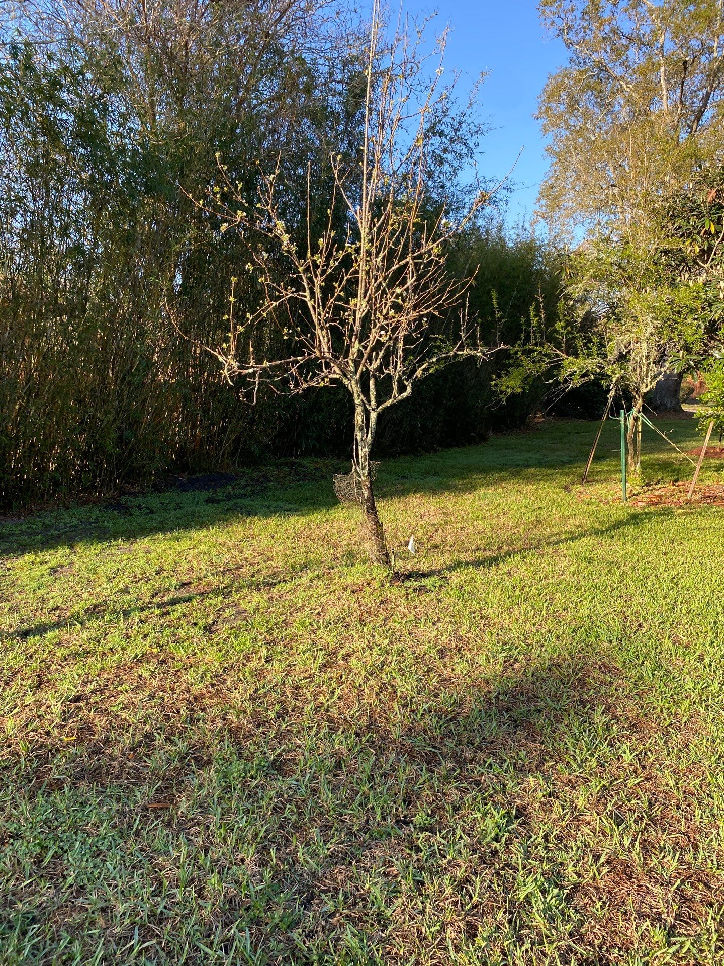 Deerwood Resident | Landscaping by ProGreen Services