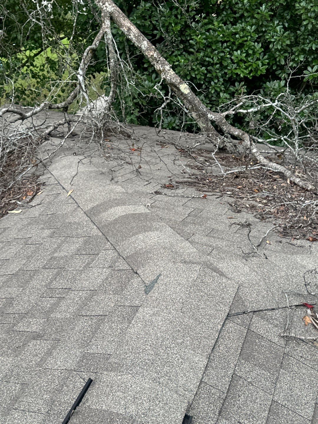 Residential Storm Damage Roof Repair by Mosaic Roofing Company