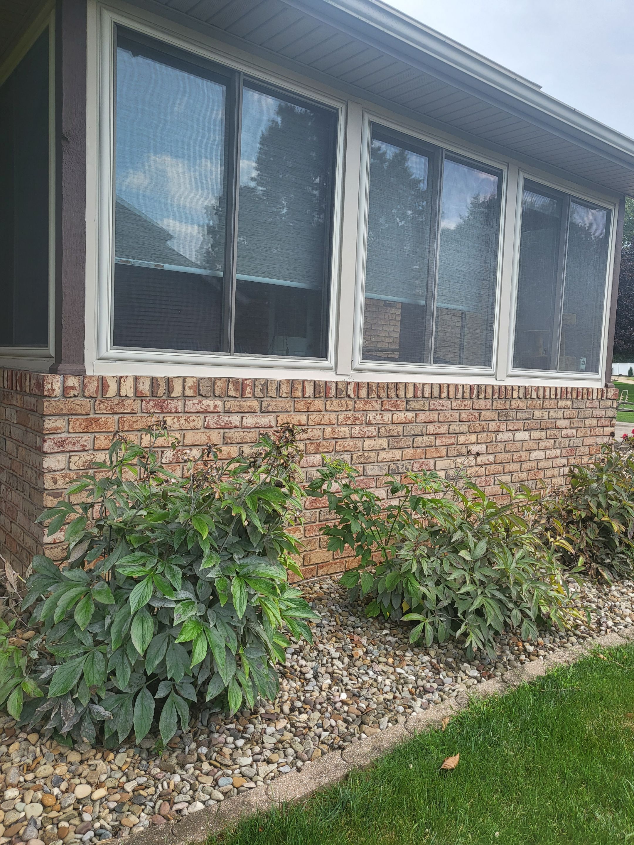 ATLAS PINNACLE COLOR: MAJESTIC SHAKE by Eagle Eye Roofing