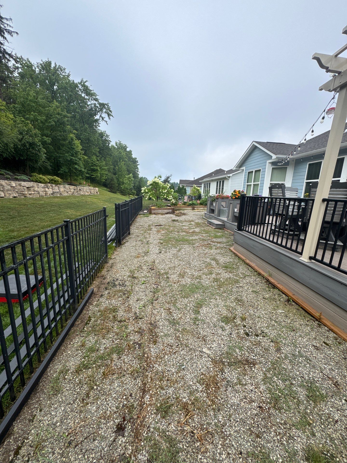 K9Grass in Westfield, IN by ForeverLawn NEIN/INDY