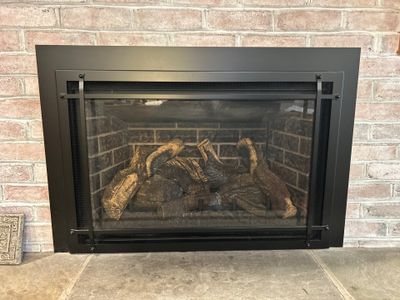 Kozy Heat Gas Insert