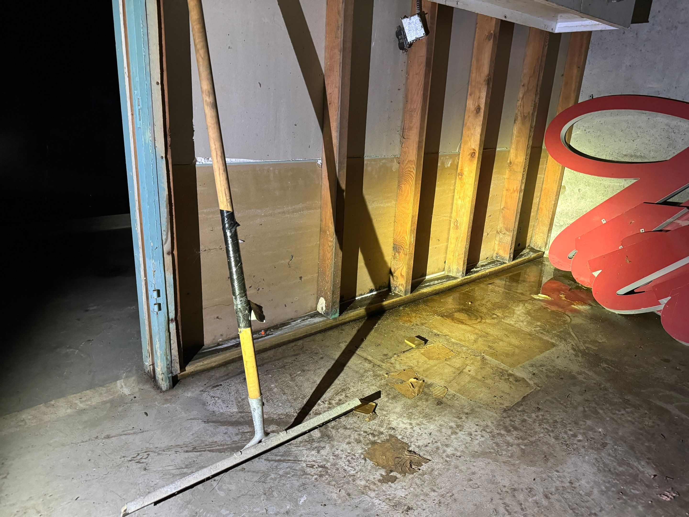 Basement Mold Remediation by Home Guarantee, LLC
