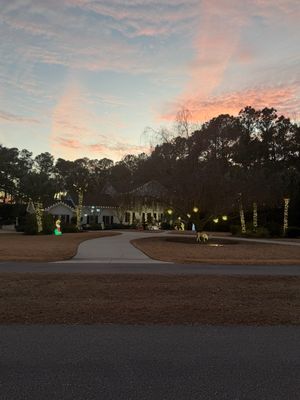 Ultimate Shark Package