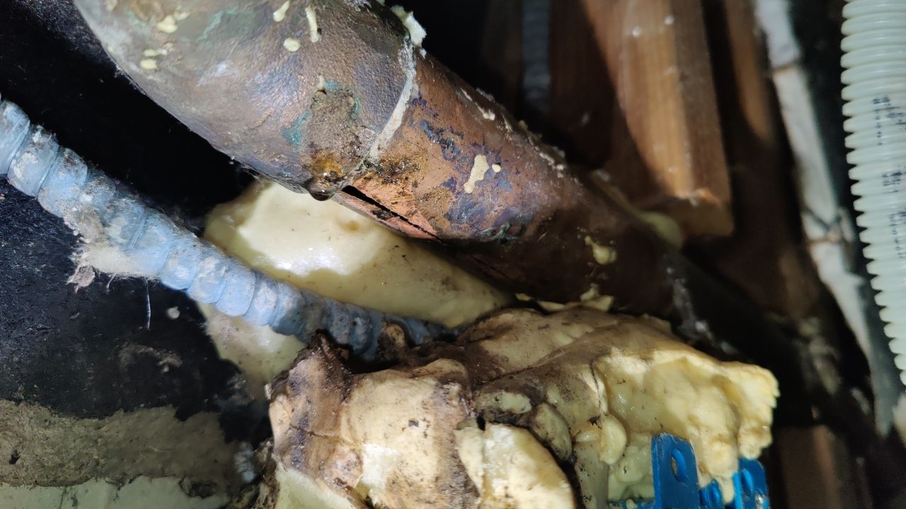 Mold Damage by Accountable Home Services