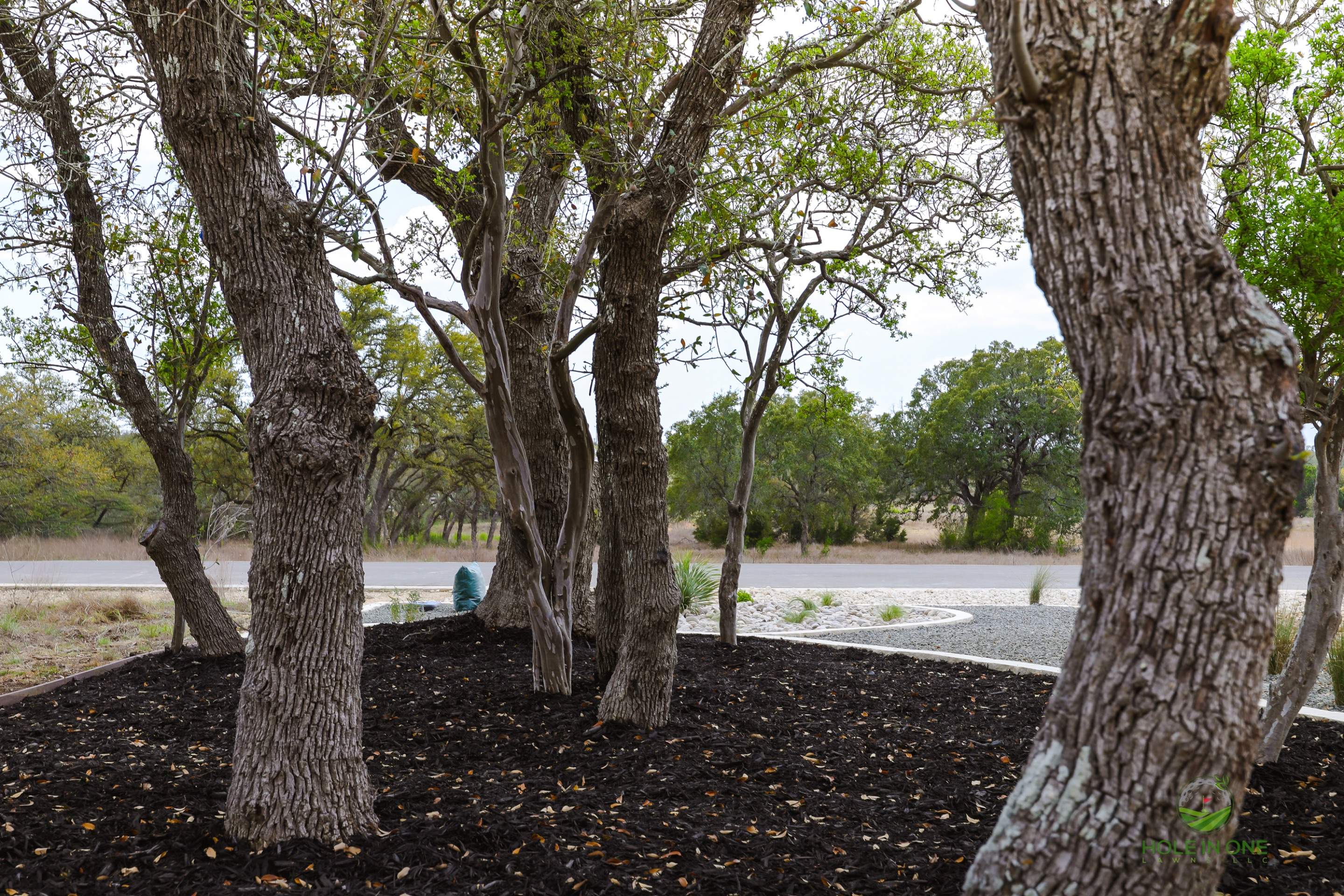 Belle Oaks, Bulverde TX by Hole In One Lawns, LLC