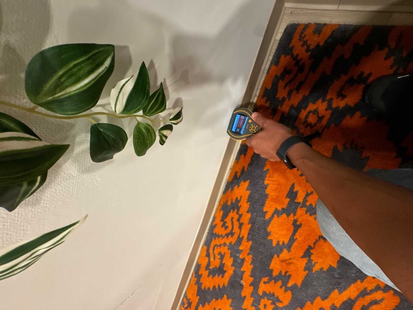 Project in Southfield by EzDry Water Mitigation & Property Restoration