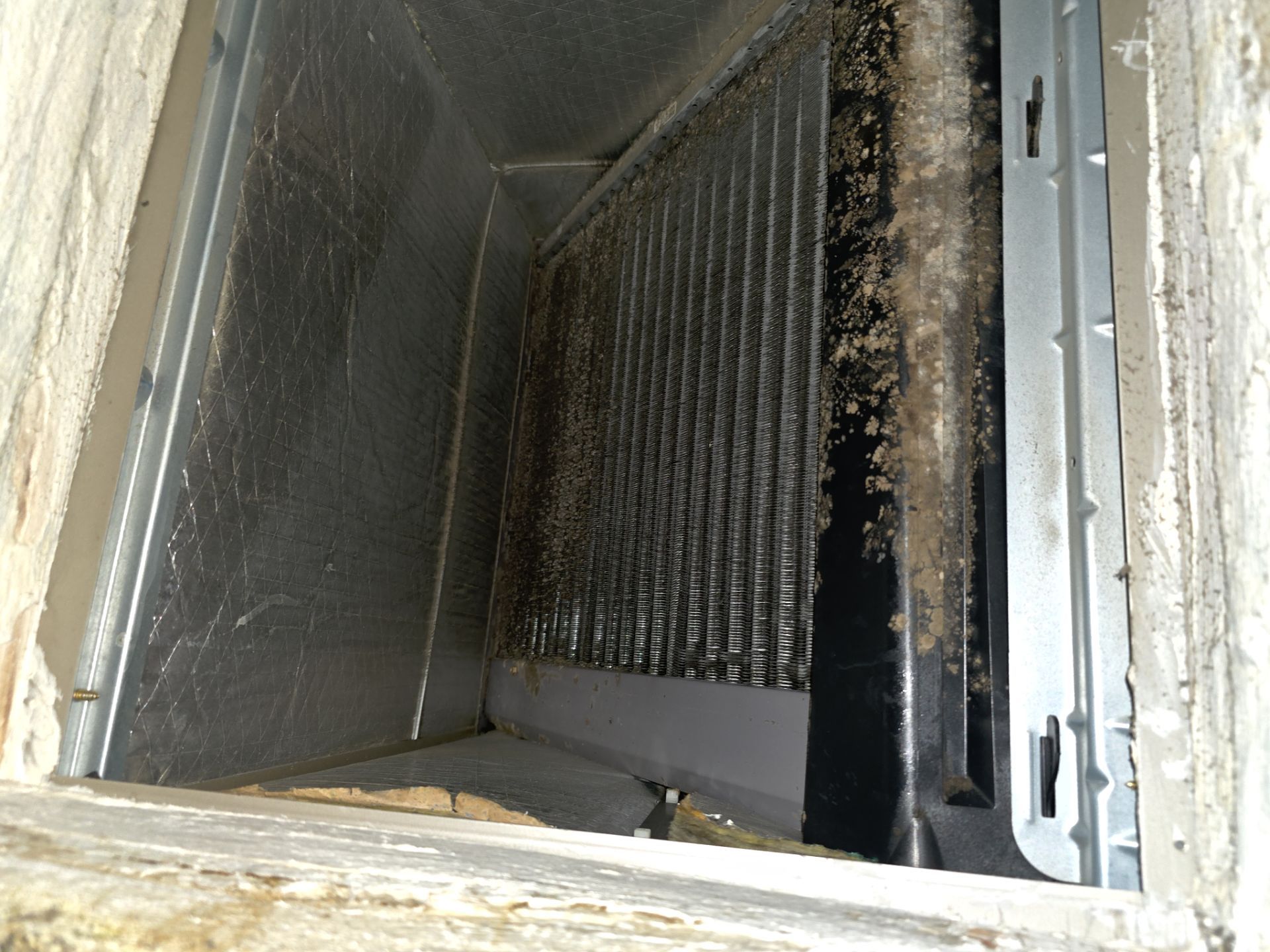 Duct Cleaning in Casselberry by Hygienic Air, Inc