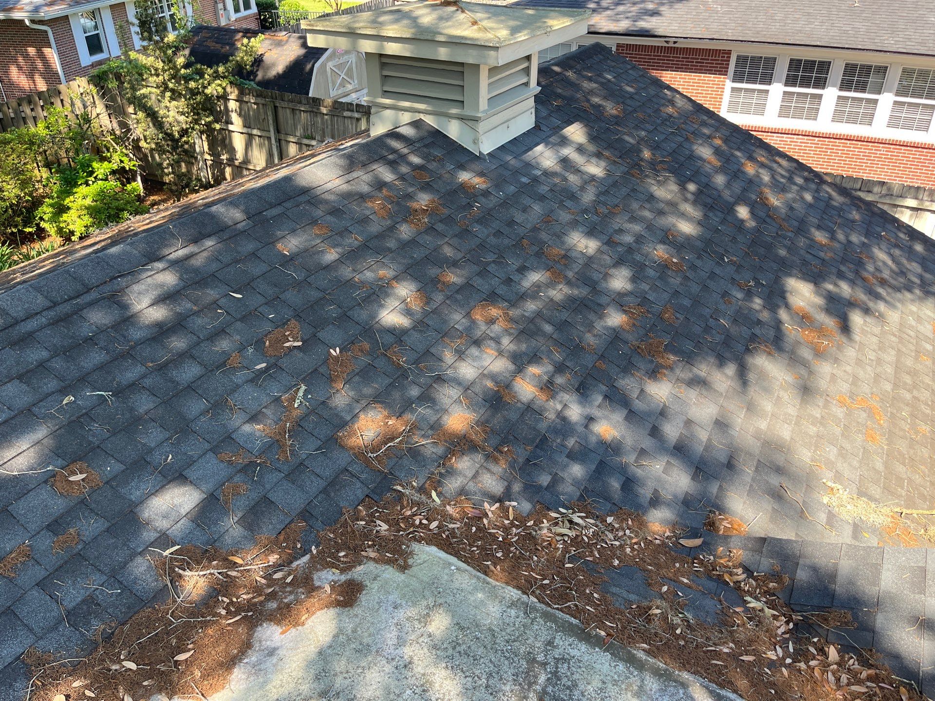 Shingle -> Shingle by Prime Roofing