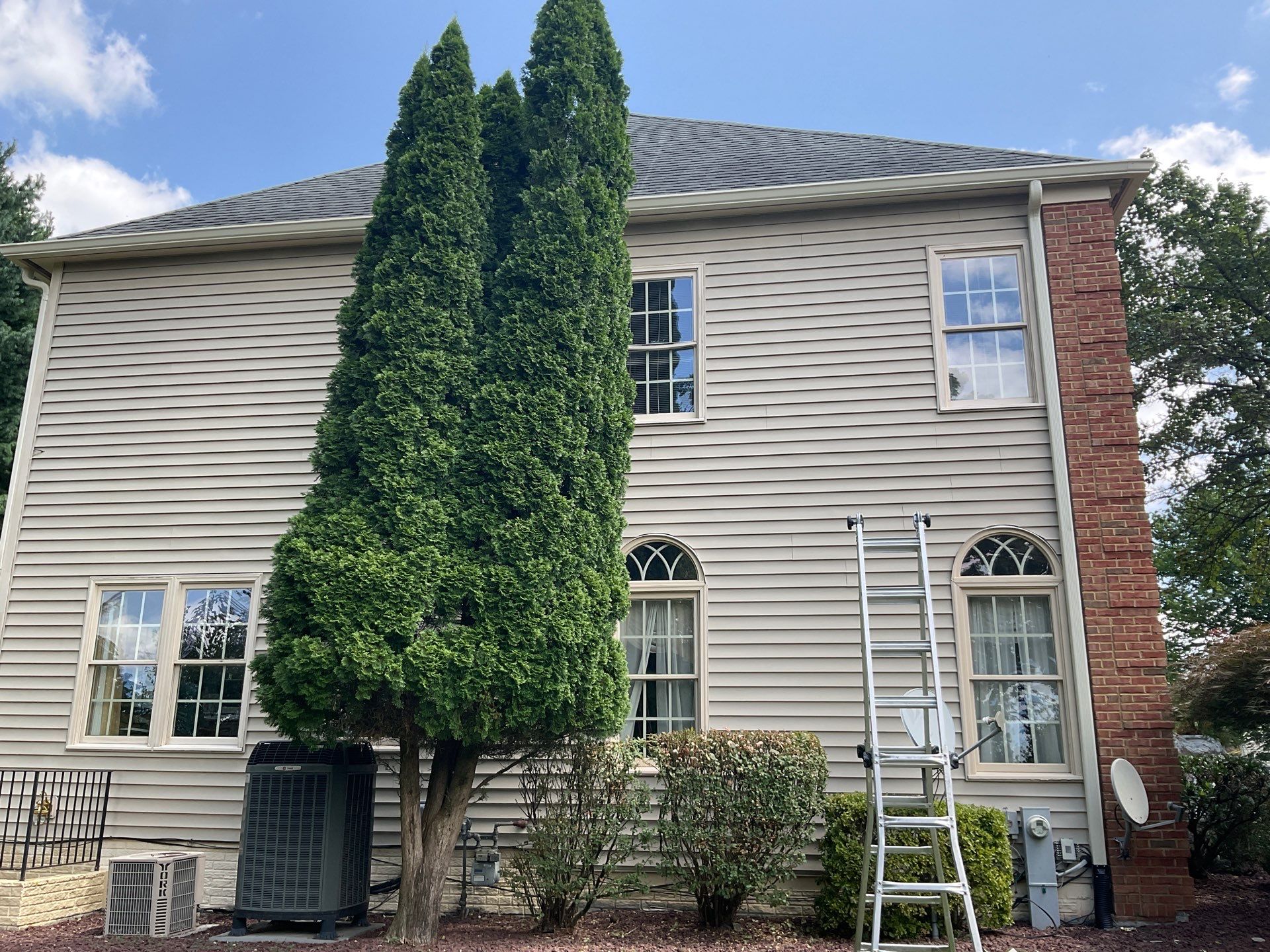 New Gutters, New Floor, New steps, New Paint job by Alpha Design Services