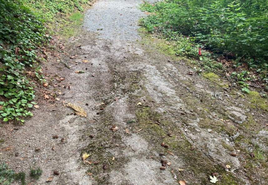 Christopher | Asphalt Road Repair  by Jireh Asphalt & Concrete Inc 